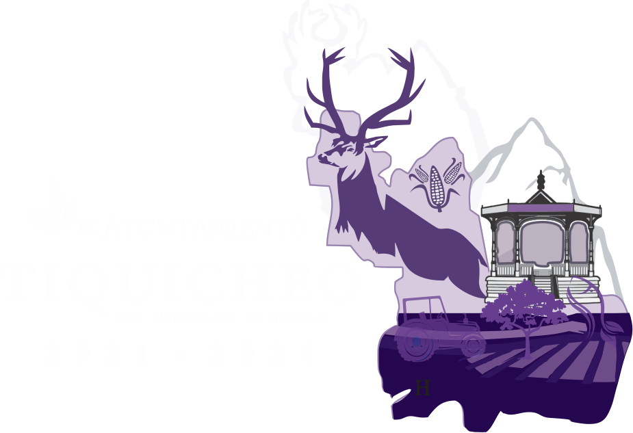 H. Ayuntamiento de Tiquicheo